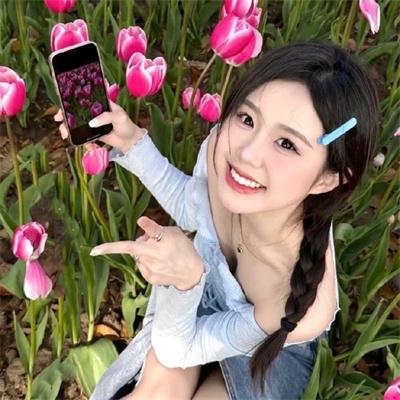 史迪奇头